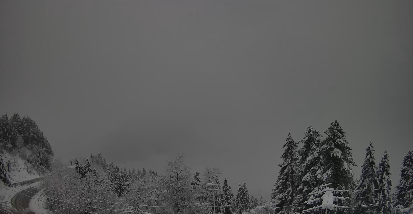 Κάμερα Ελάτης